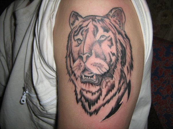 Фото и  значения татуировки Тигр. X_3d69e114